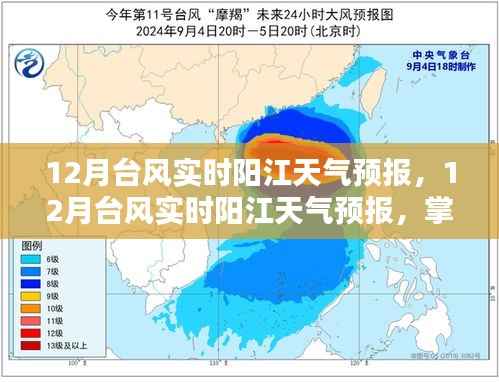 阳江十二月台风实时天气预报,最新动态与防御准备