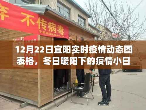 宜阳实时疫情动态图表格,冬日暖阳下的温情故事与日常更新