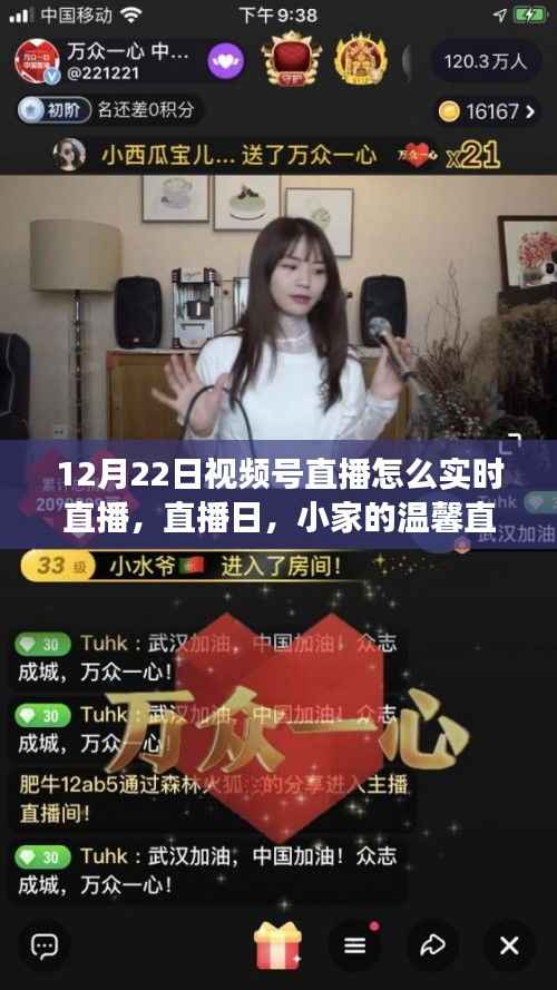 12月22日温馨直播日,小家直播之旅,冬日情感纽带与实时互动体验