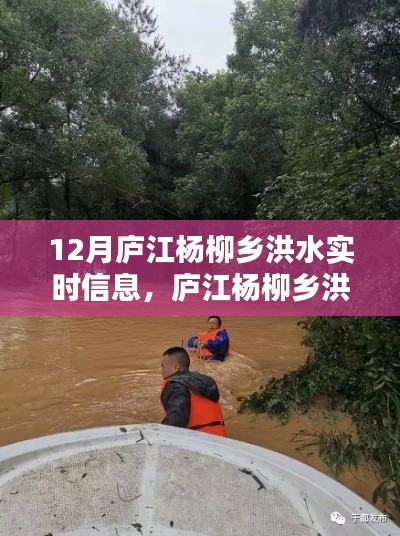 庐江杨柳乡洪水实时信息及评测报告更新