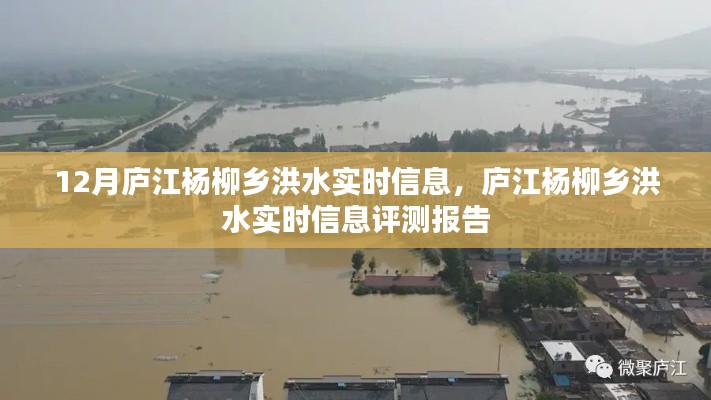 庐江杨柳乡洪水实时信息及评测报告更新