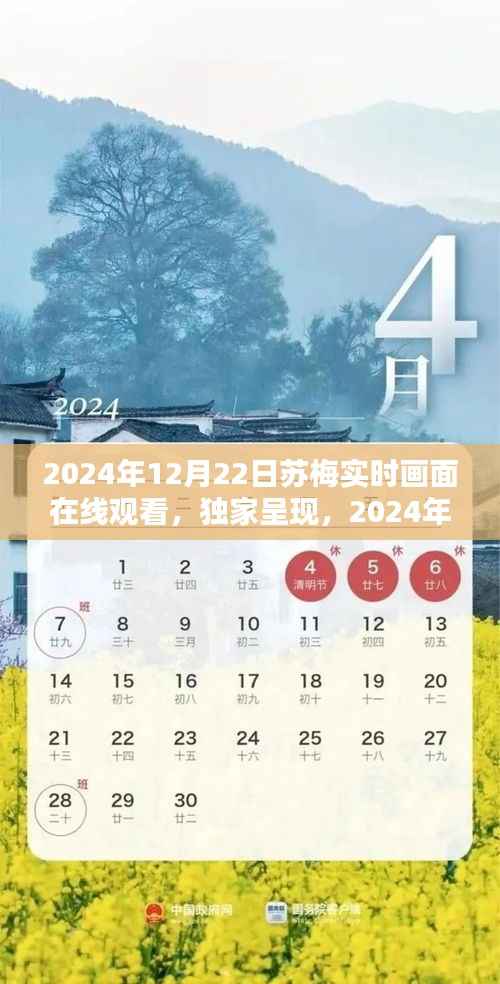 独家在线观看,2024年苏梅实时画面——探索宇宙的窗口