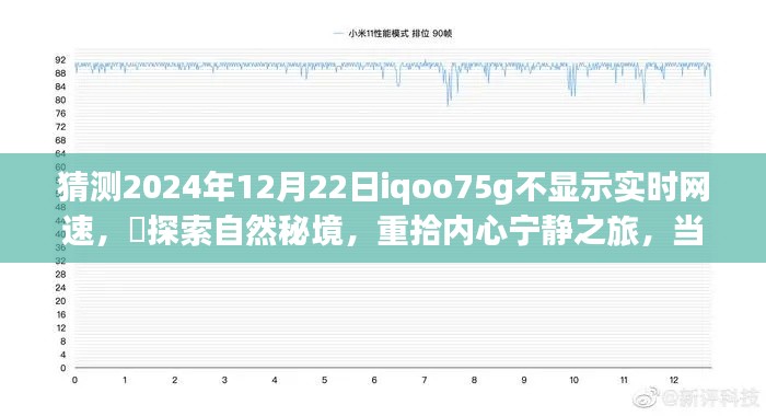 iQOO 7 5G网速隐匿山水间,探索自然秘境,重拾内心宁静之旅