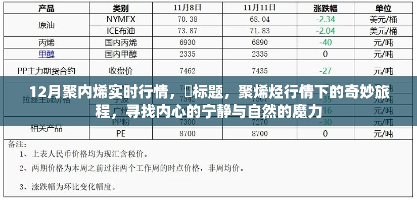 聚烯烃行情下的市场洞察,探寻内心宁静与自然魔力的奇妙旅程