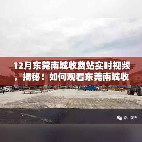揭秘东莞南城收费站实时视频，观看指南与实用教程