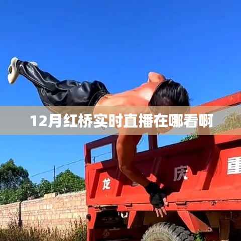 红桥直播观看指南,实时直播观看渠道汇总