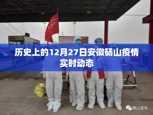 安徽砀山疫情实时动态,历史疫情回顾与最新进展