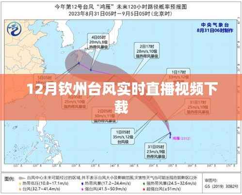 台风来袭!钦州实时直播视频下载见证风雨瞬间