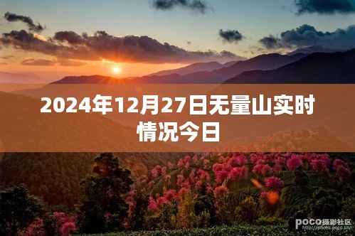关于无量山的最新实时资讯,2024年12月27日动态更新