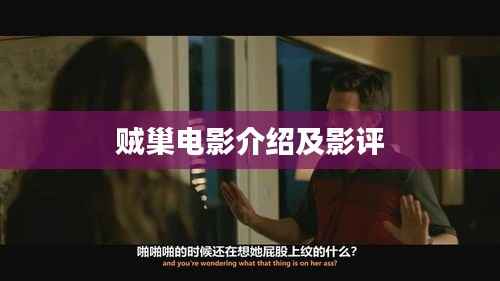 贼巢电影介绍与深度影评