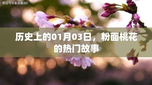 粉面桃花故事揭秘,历史上的今天,一月三日回顾