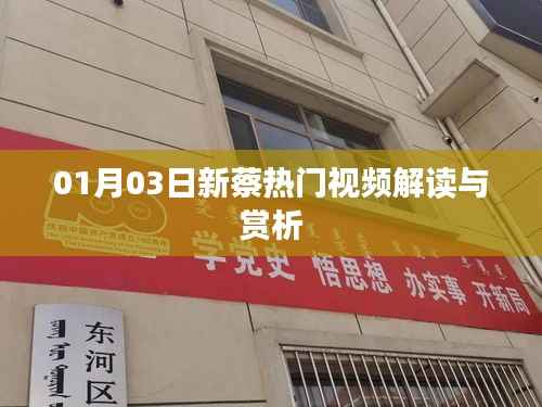 新蔡热门视频解读与赏析,最新解读报告出炉