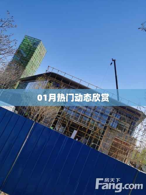 精选,一月热门动态大盘点