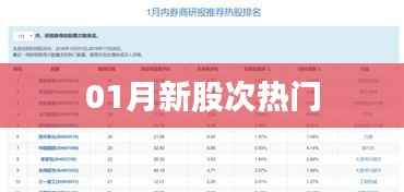 新股次热门动向解析