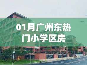 广州东热门小学区房热度解析