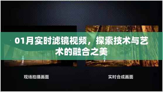探索技术与艺术融合之美,实时滤镜视频