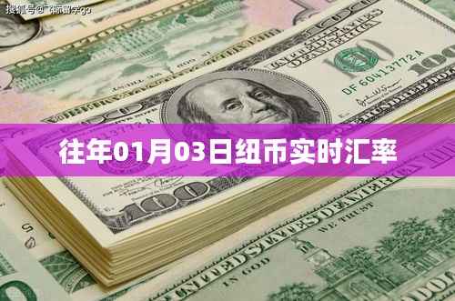 历年01月03日纽币汇率实时数据概览
