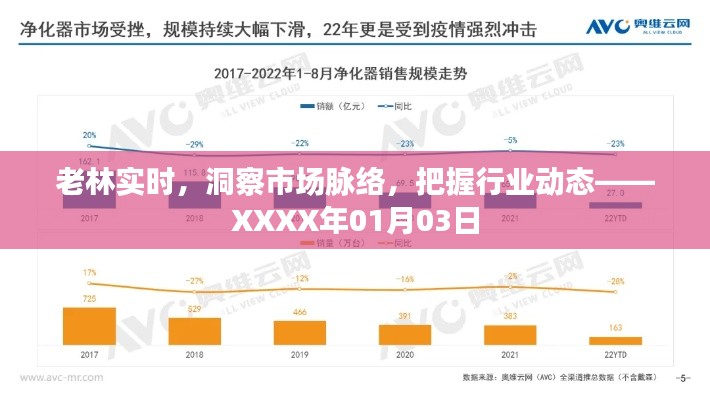 老林市场洞察,实时分析行业动态(XXXX年最新资讯)