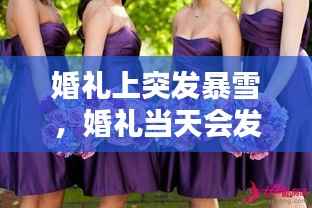 婚礼上突发暴雪,婚礼当天会发生的突发情况