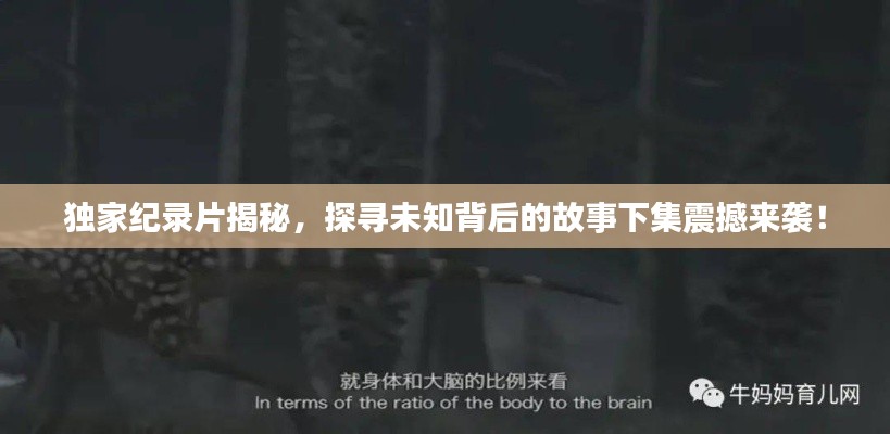 独家纪录片揭秘,探寻未知背后的故事下集震撼来袭!