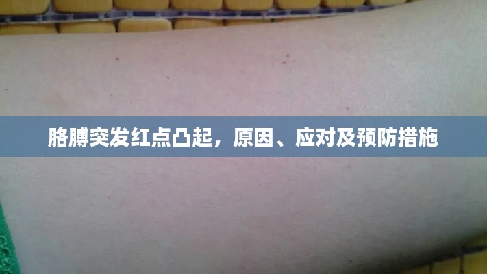 胳膊突发红点凸起,原因、应对及预防措施