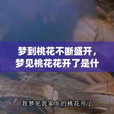 梦到桃花不断盛开,梦见桃花花开了是什么意思