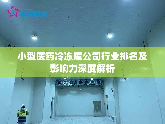 小型医药冷冻库公司行业排名及影响力深度解析