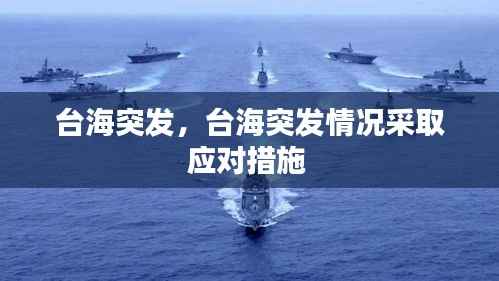台海突发,台海突发情况采取应对措施