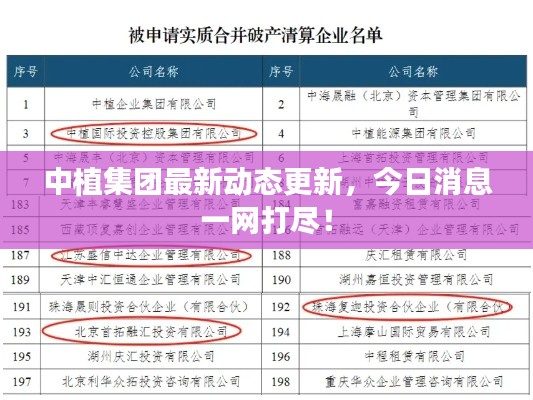 中植集团最新动态更新,今日消息一网打尽!