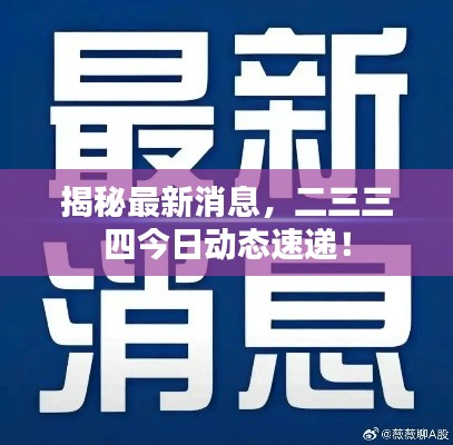 揭秘最新消息,二三三四今日动态速递!