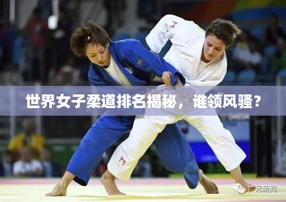 世界女子柔道排名揭秘,谁领风骚?