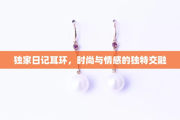 独家日记耳环,时尚与情感的独特交融