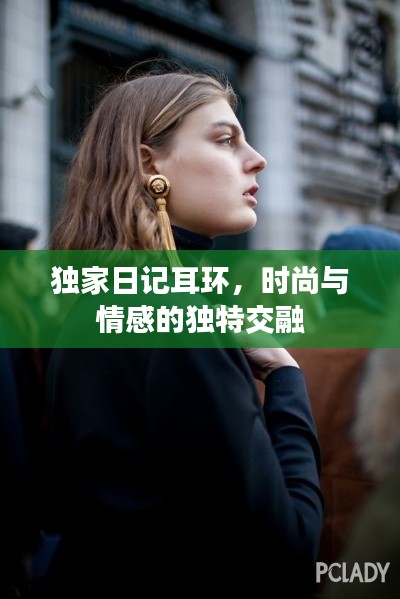 独家日记耳环,时尚与情感的独特交融