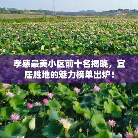 孝感最美小区前十名揭晓,宜居胜地的魅力榜单出炉!