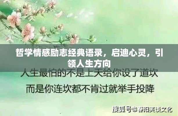 哲学情感励志经典语录,启迪心灵,引领人生方向