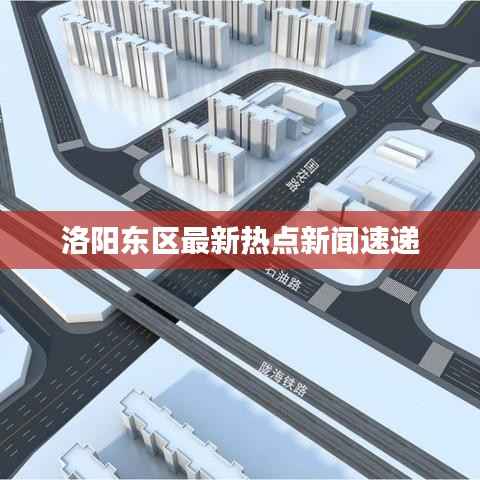 洛阳东区最新热点新闻速递