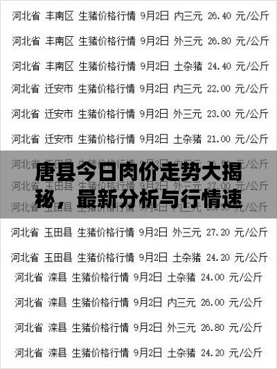唐县今日肉价走势大揭秘,最新分析与行情速递
