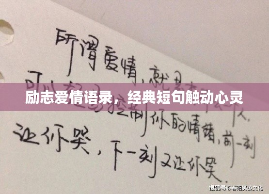 励志爱情语录,经典短句触动心灵