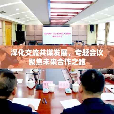 深化交流共谋发展,专题会议聚焦未来合作之路