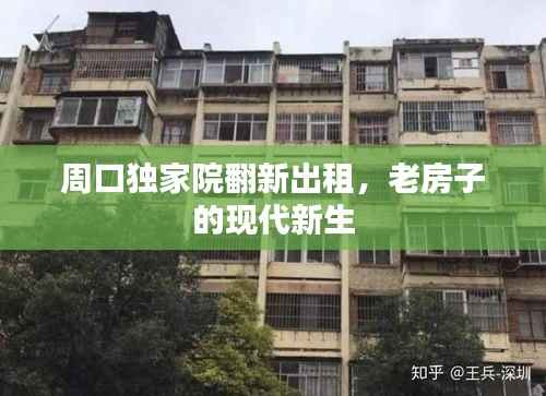 周口独家院翻新出租,老房子的现代新生