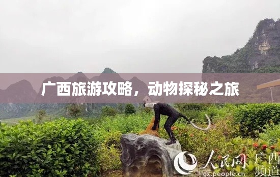 广西旅游攻略,动物探秘之旅