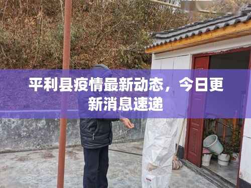 平利县疫情最新动态,今日更新消息速递