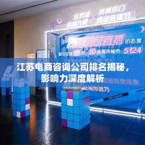 江苏电商咨询公司排名揭秘,影响力深度解析
