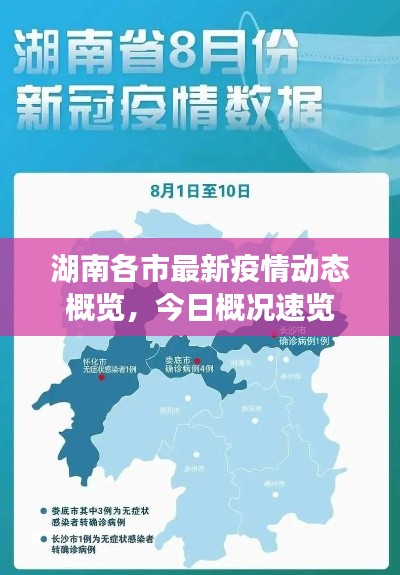湖南各市最新疫情动态概览,今日概况速览