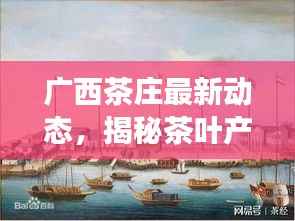 广西茶庄最新动态,揭秘茶叶产业繁荣背后的故事
