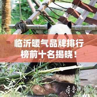 临沂暖气品牌排行榜前十名揭晓!