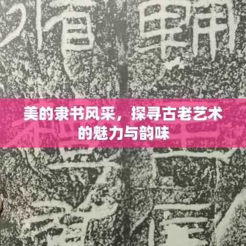 美的隶书风采,探寻古老艺术的魅力与韵味