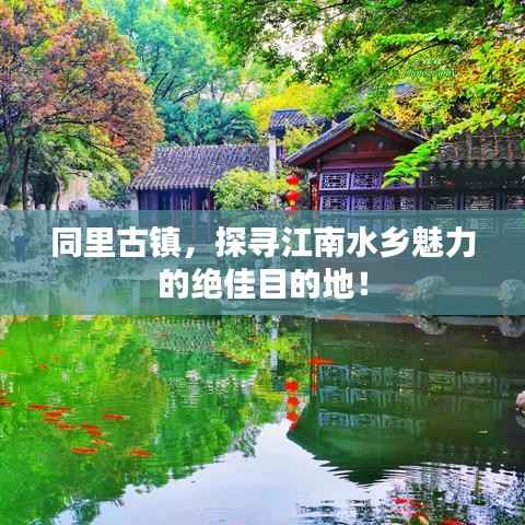 同里古镇,探寻江南水乡魅力的绝佳目的地!