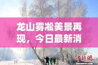 龙山雾凇美景再现,今日最新消息抢先看!