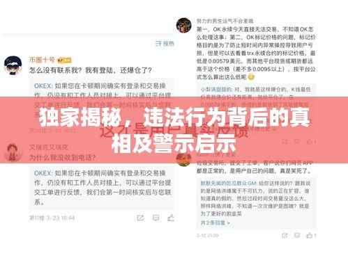 独家揭秘,违法行为背后的真相及警示启示
